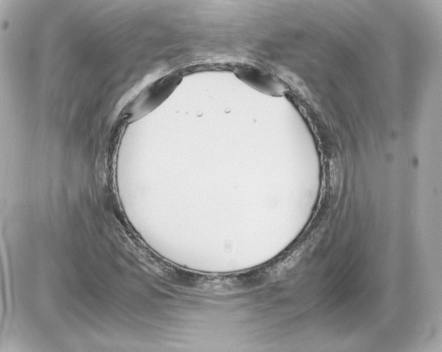 X0000085251165200704092041