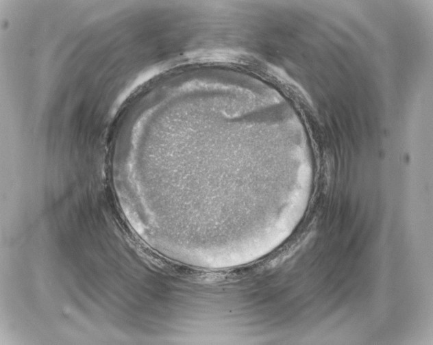 X0000085251166200704092041