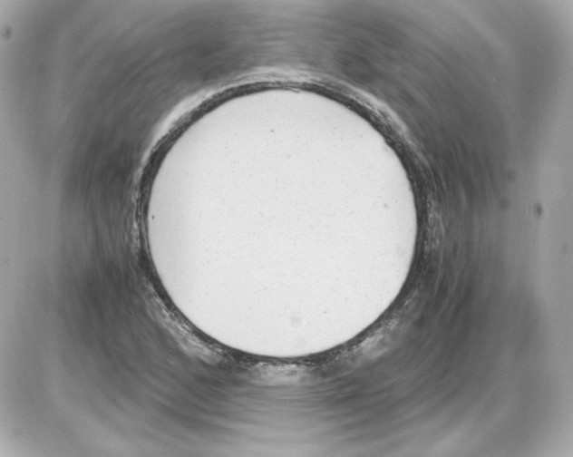 X0000085251168200704092041