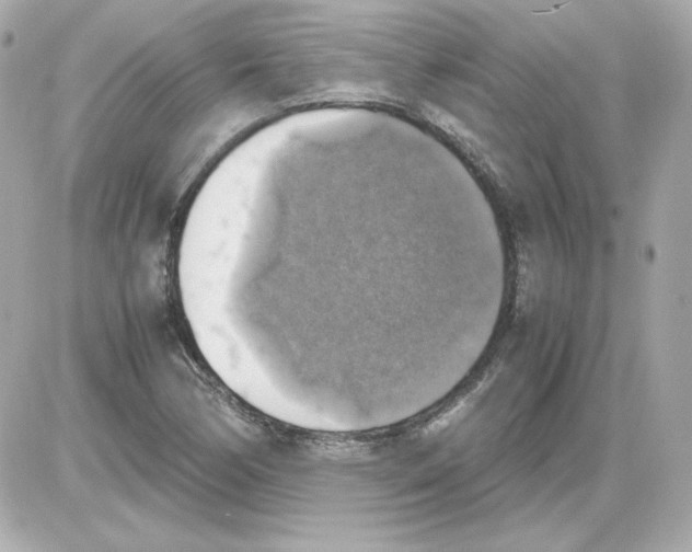 X0000085251170200704092041