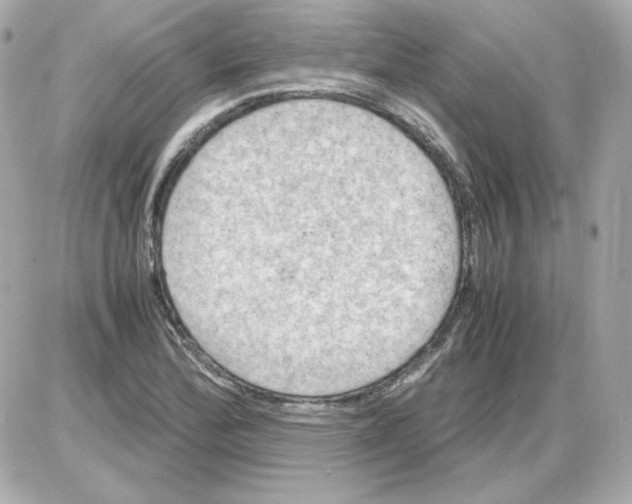 X0000085251172200704092041