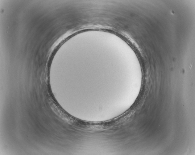 X0000085251173200704092041