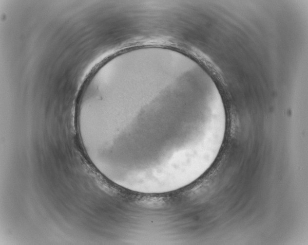 X0000085251174200704092041