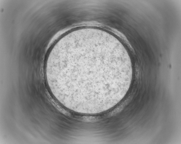 X0000085251176200704092041