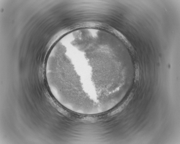 X0000085251178200704092041