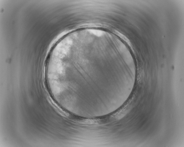 X0000085251179200704092041