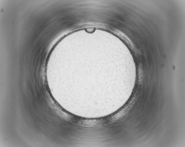 X0000085251182200704092041