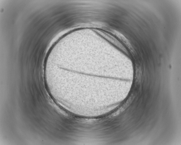 X0000085251184200704092041