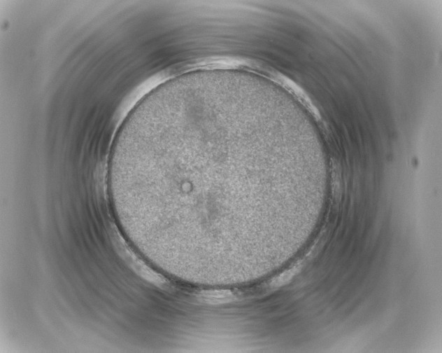 X0000085251186200704092041