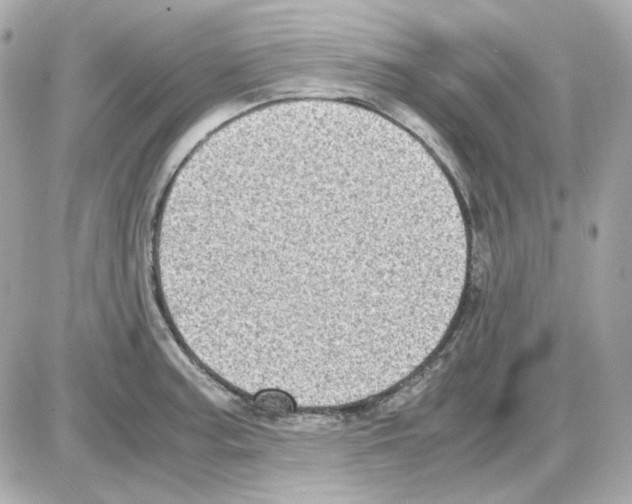 X0000085251187200704092041