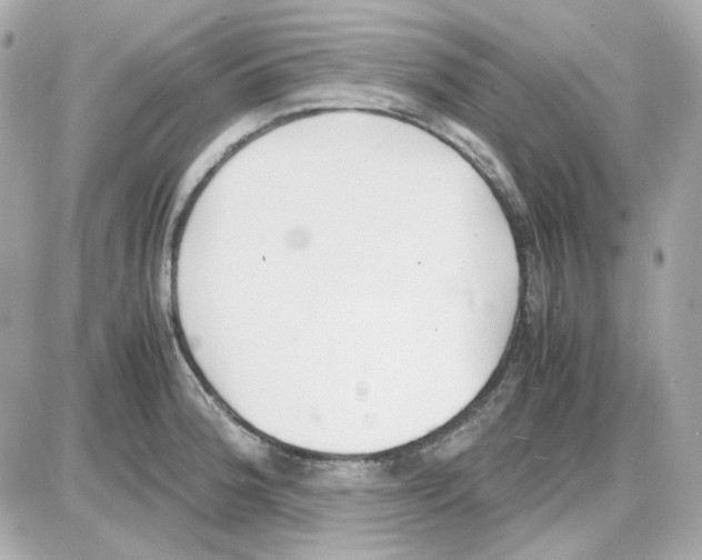 X0000085251188200704092041