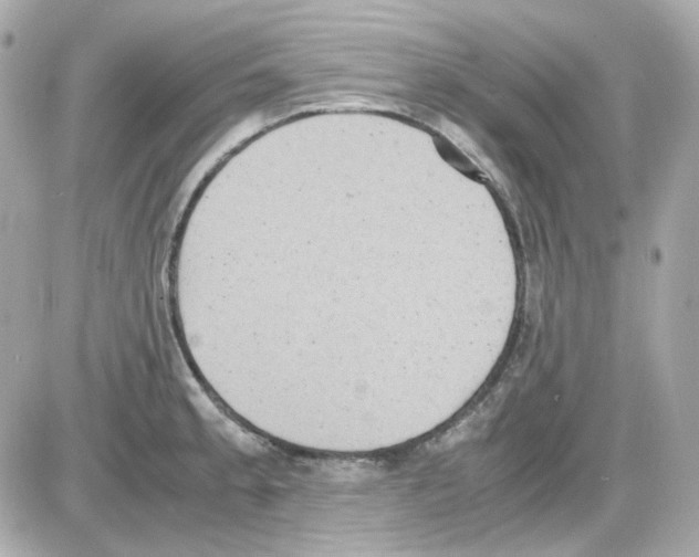 X0000085251189200704092041