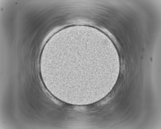 X0000085251191200704092041