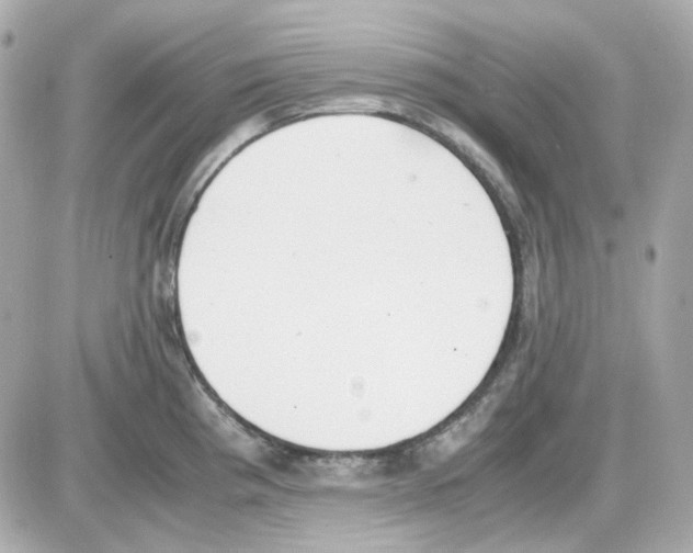 X0000085251193200704092041