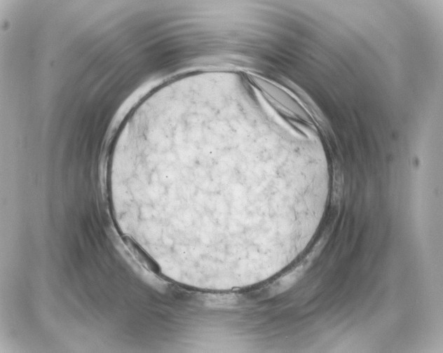 X0000085251196200704092041