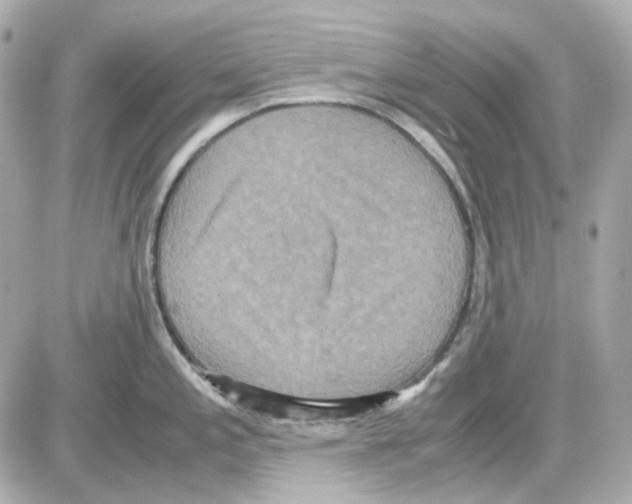 X0000085251197200704092041