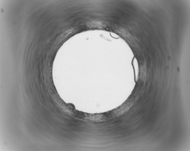 X0000085251201200704092040