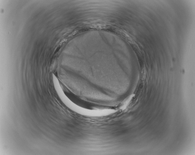 X0000085251202200704092040