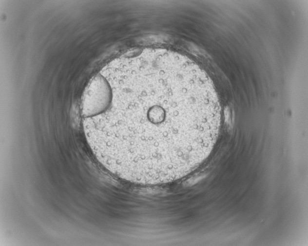 X0000085251203200704092040