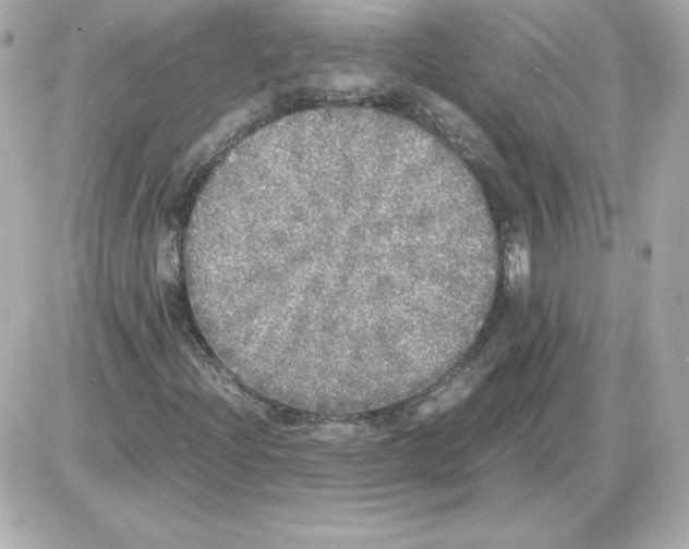 X0000085251204200704092040