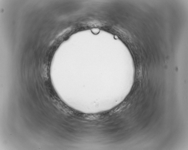 X0000085251205200704092040