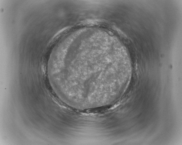 X0000085251206200704092040