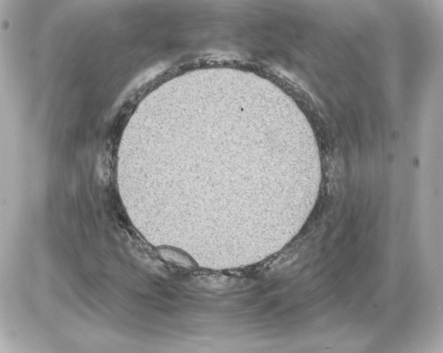 X0000085251207200704092040