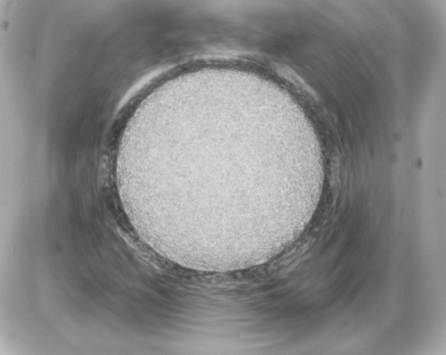 X0000085251208200704092040