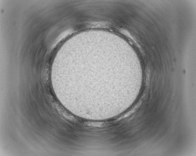 X0000085251211200704092040