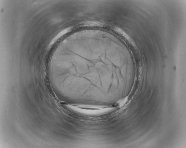 X0000085251213200704092040