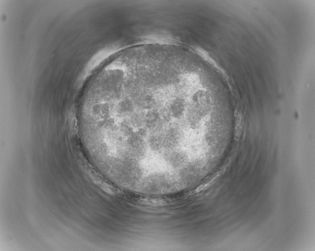 X0000085251215200704092040