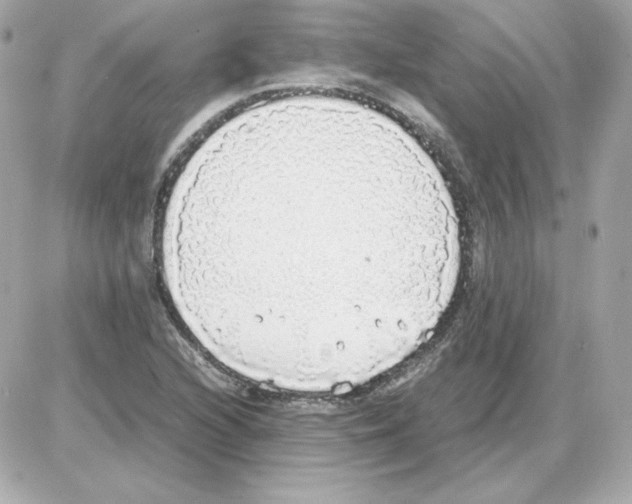 X0000085251216200704092040