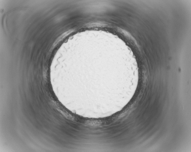 X0000085251217200704092040