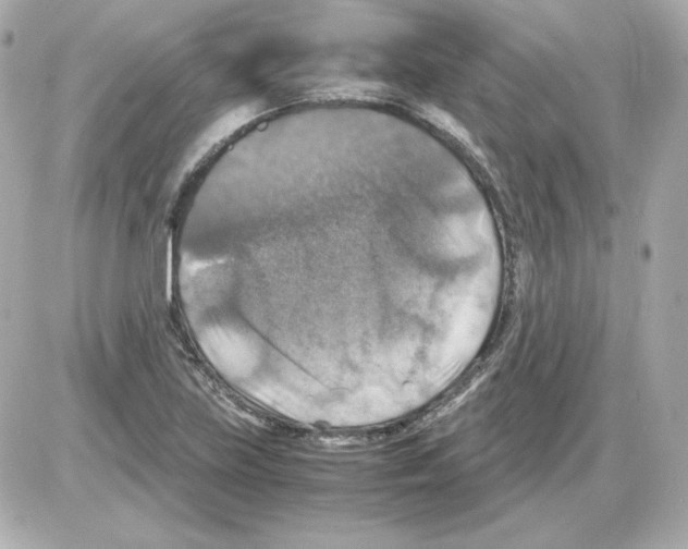 X0000085251219200704092040