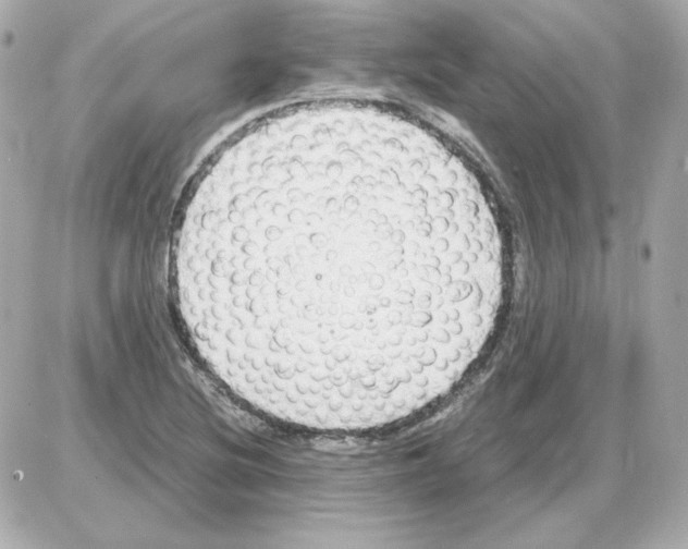 X0000085251220200704092040