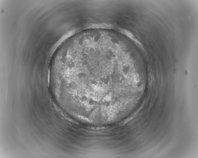 X0000085251221200704092040