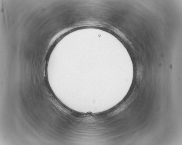 X0000085251222200704092040