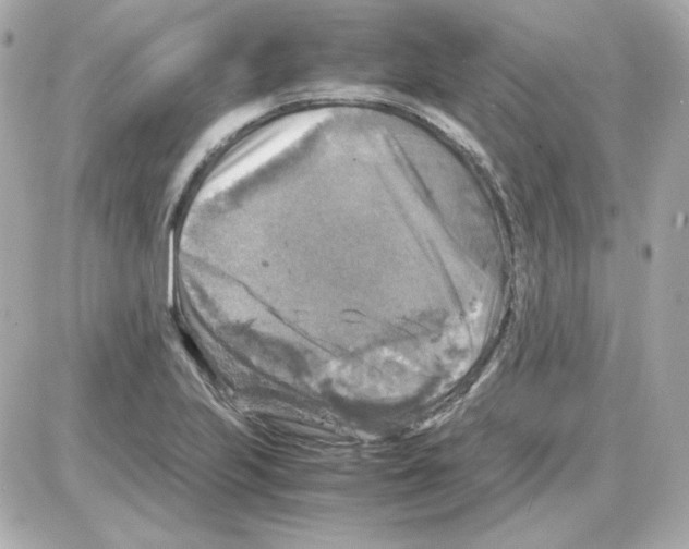 X0000085251223200704092040