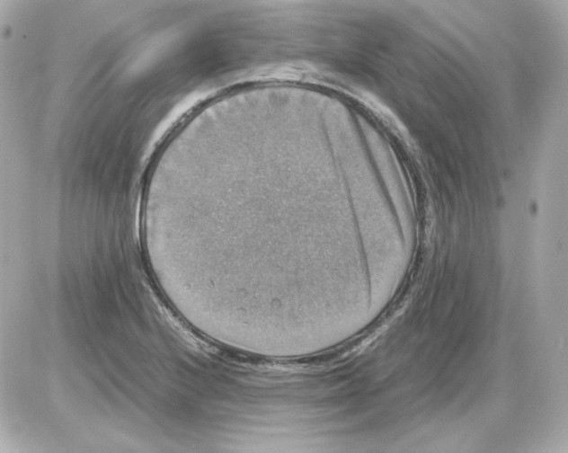 X0000085251224200704092040