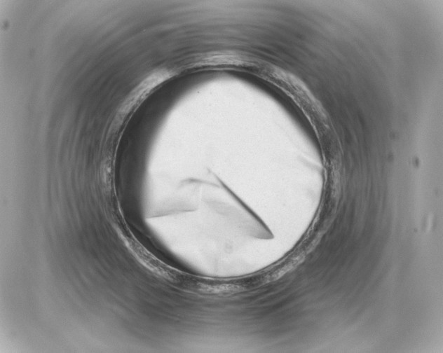 X0000085251225200704092040