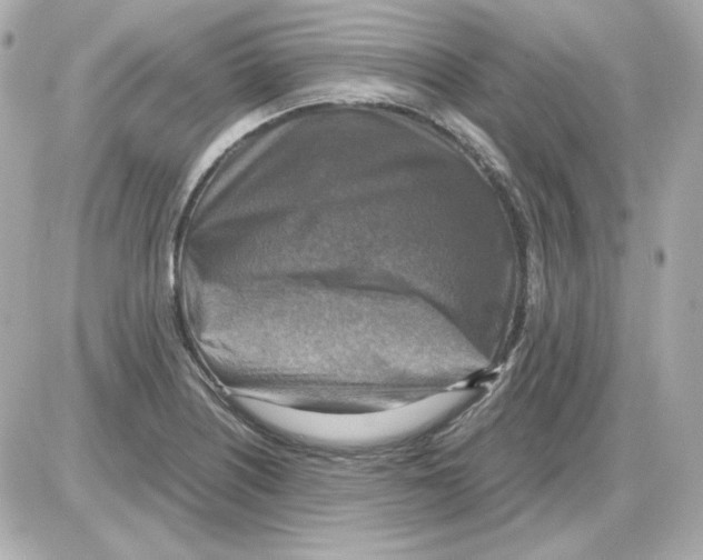 X0000085251226200704092040