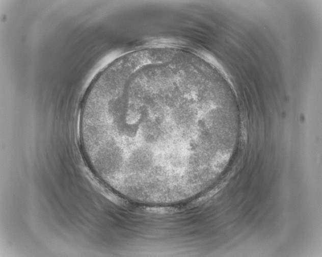 X0000085251227200704092040