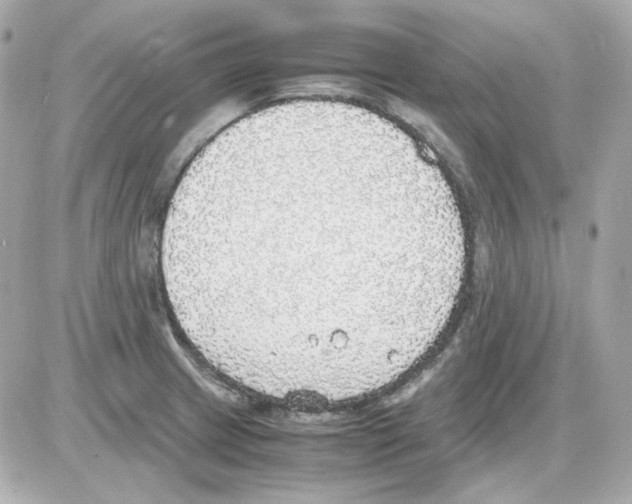 X0000085251233200704092040