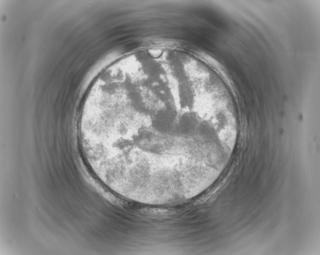 X0000085251235200704092040