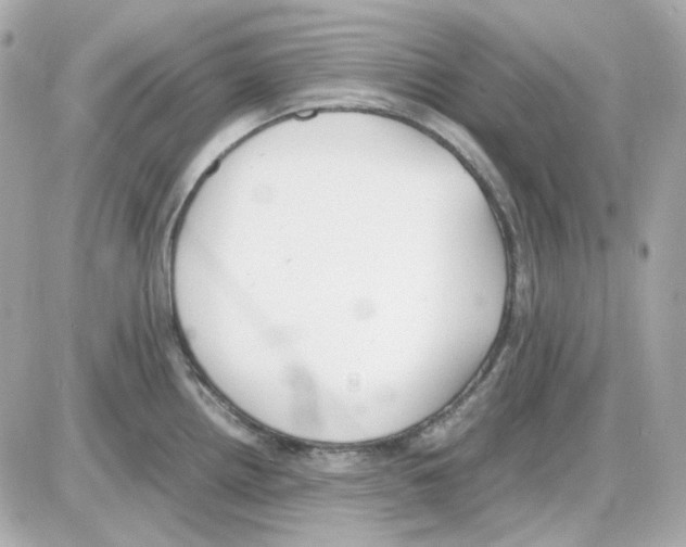 X0000085251242200704092041