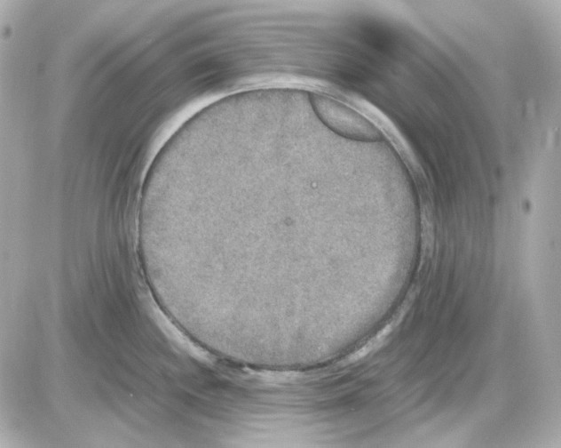 X0000085251244200704092041