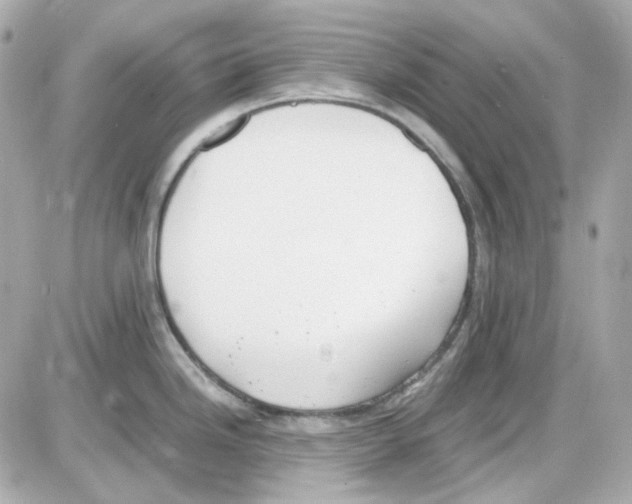 X0000085251246200704092041