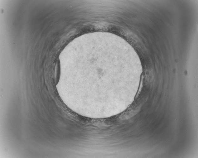 X0000085251249200704092040