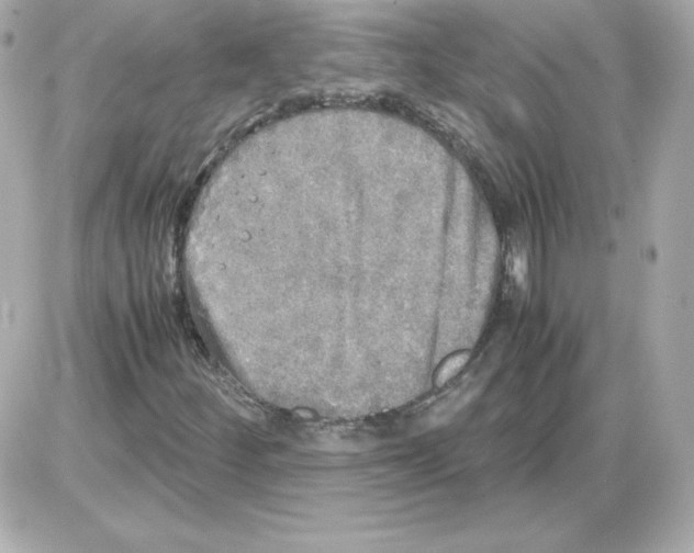 X0000085251252200704092040