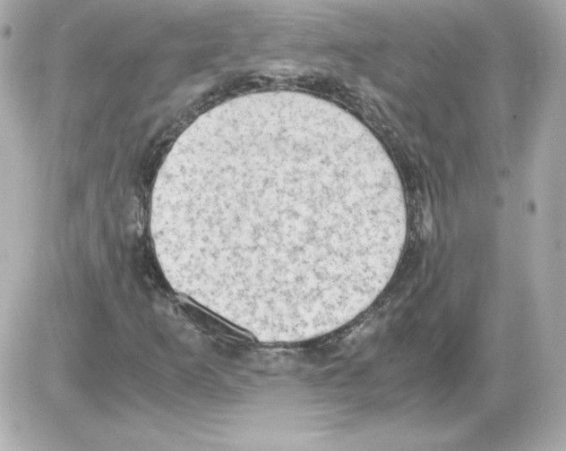 X0000085251253200704092040